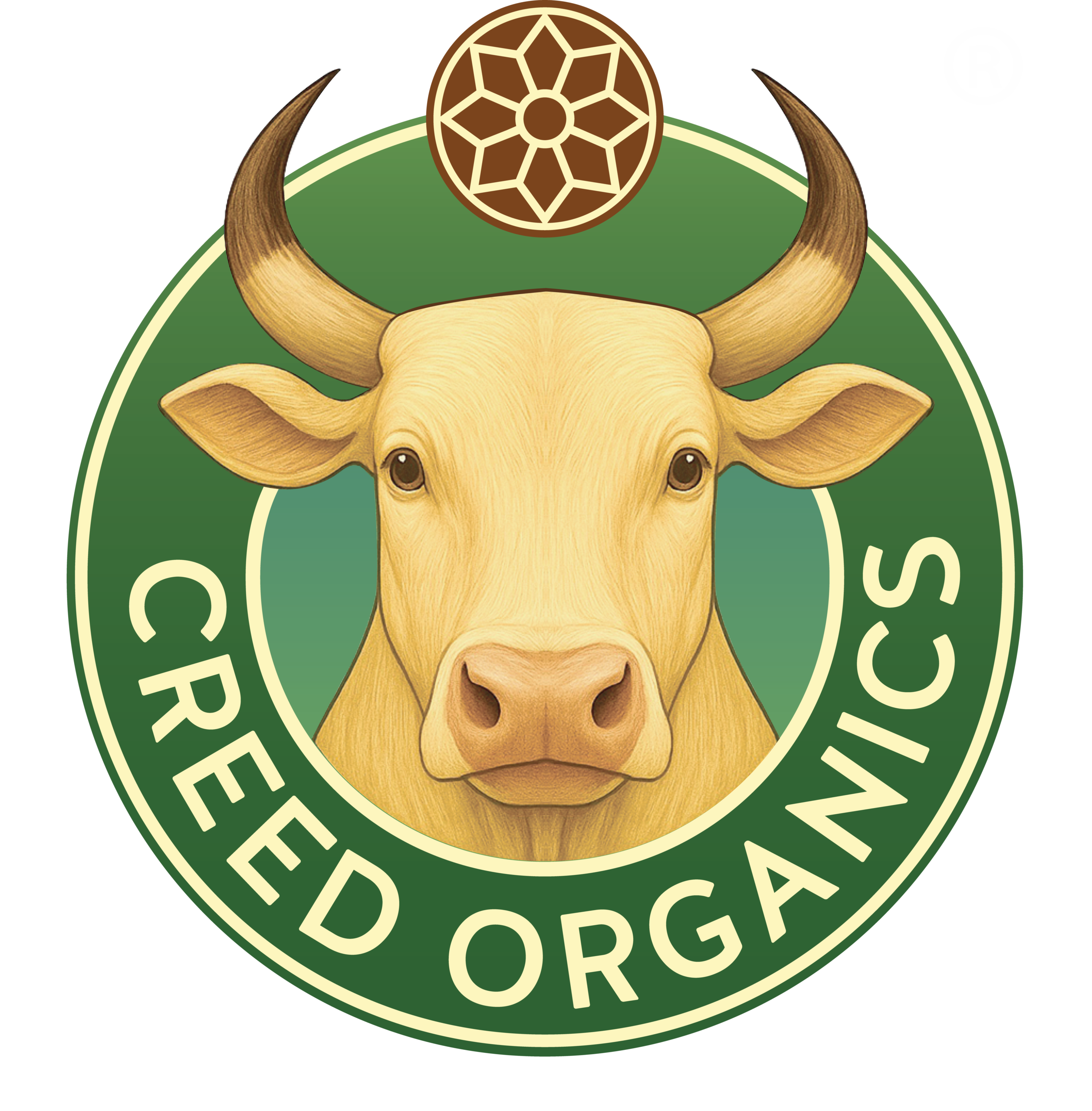 CO Logo Final Scaled