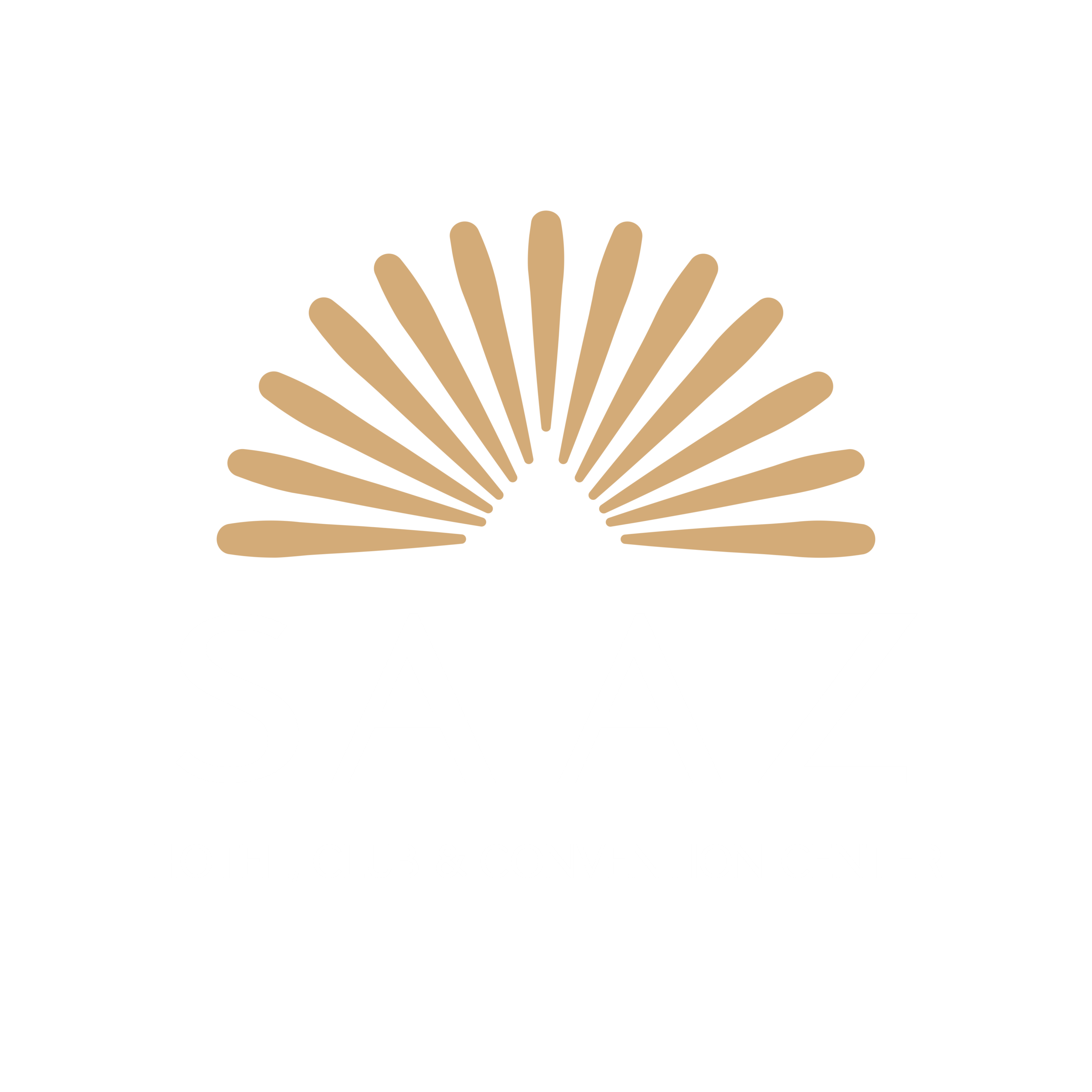 Saaz Logo Scaled